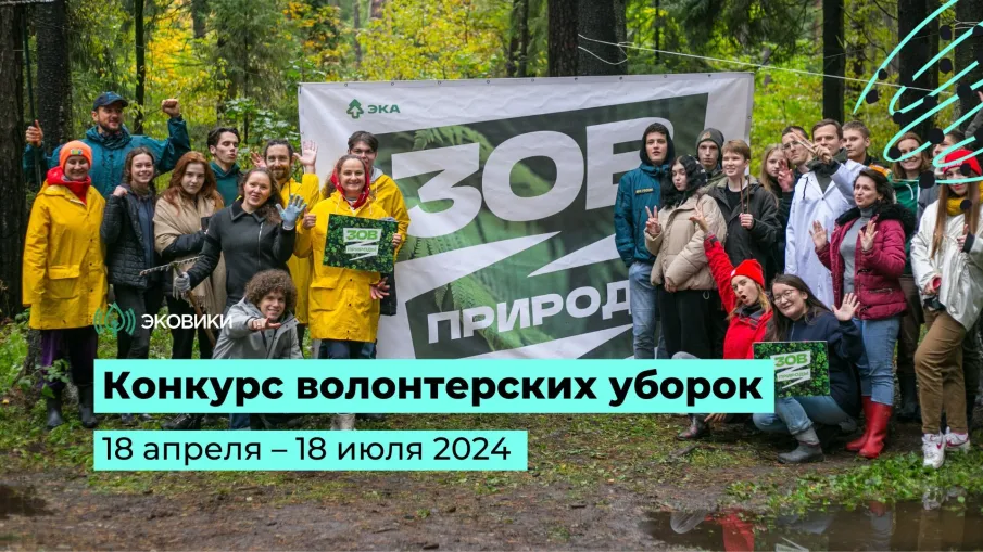 Конкурс волонтерских уборок «Зов природы» с раздельным сбором мусора проходит в России